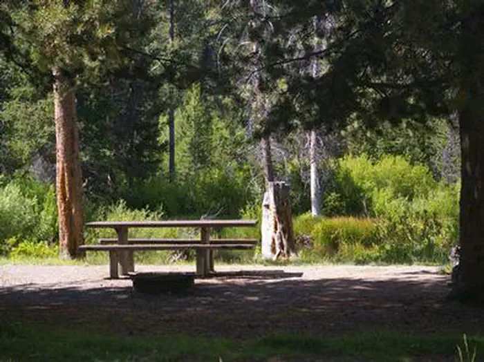 Easley Campground — EASLEY CAMPGROUND