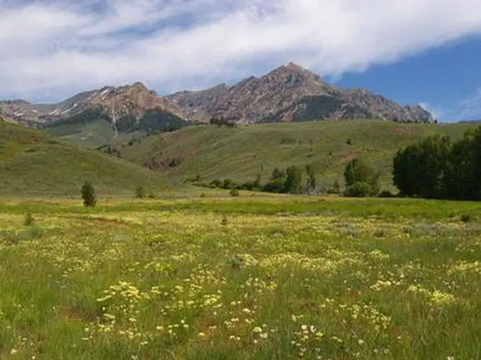Easley Campground — EASLEY CAMPGROUND