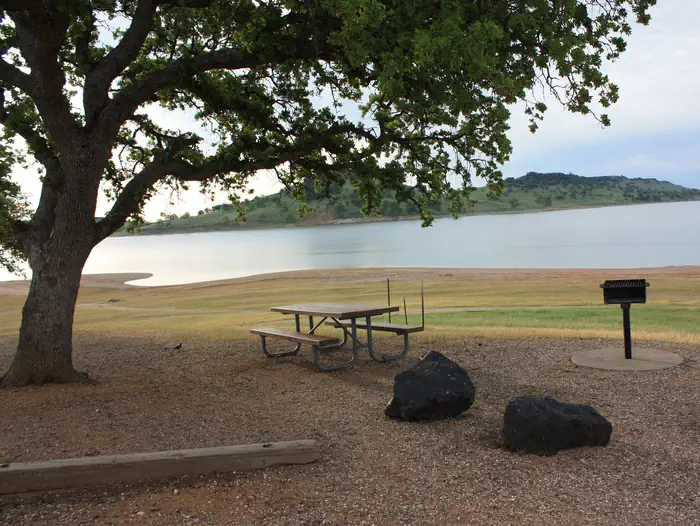 Buckhorn Recreation Area — Day use area picnic site with table and barbecue pedestal.