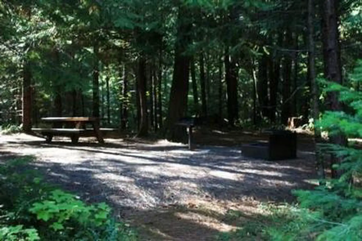 Deer Flat Group Site (horseshoe Bend Campground) — Deer Flat Group Site (Horseshoe Bend Campground)