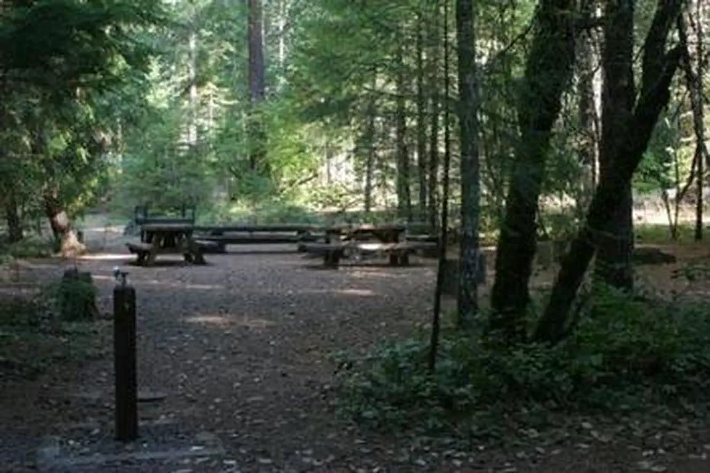 Deer Flat Group Site (horseshoe Bend Campground) — Deer Flat Group Site (Horseshoe Bend Campground)