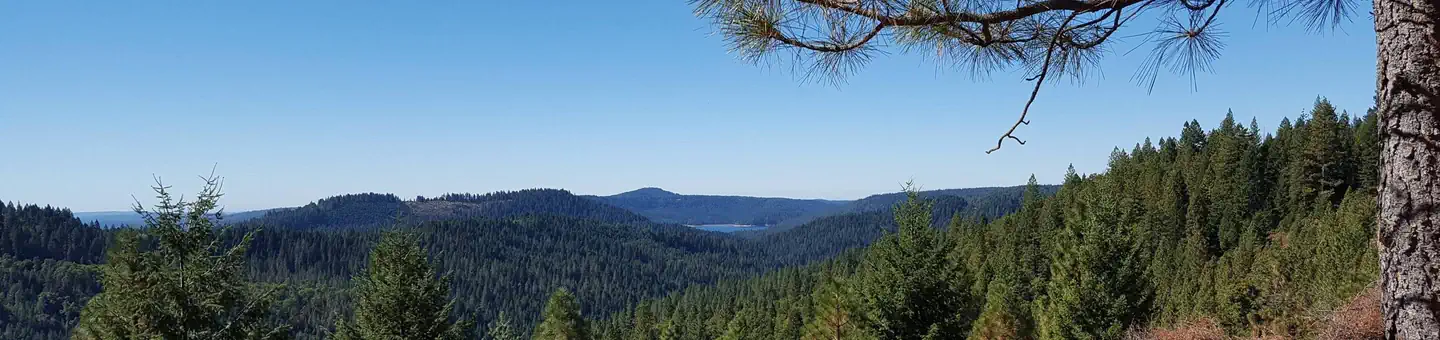 White Cloud