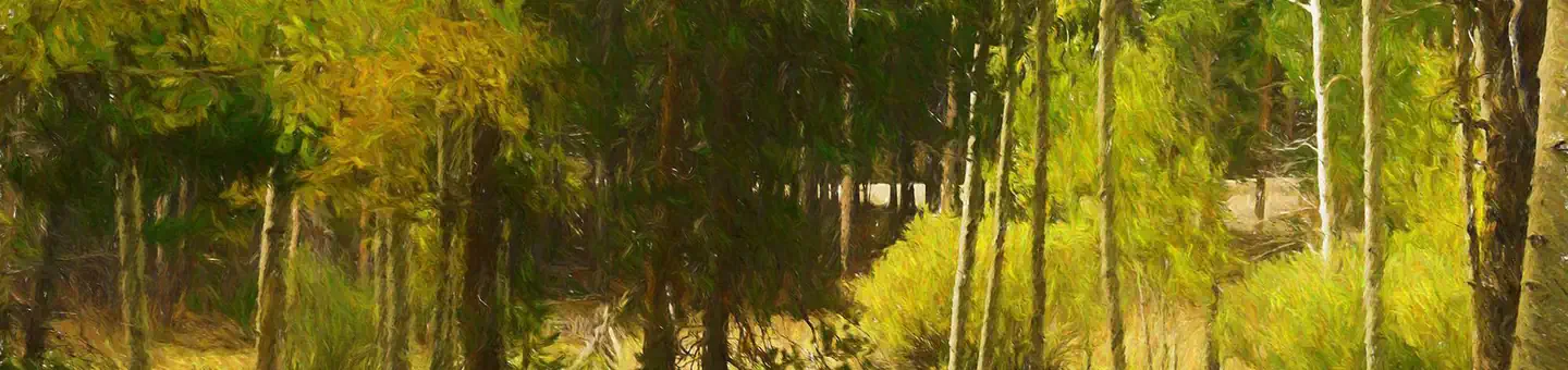 Lost Cabin Campground — lc-cg-hero