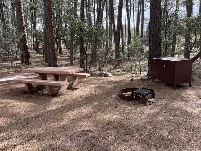 Lower Tonto Creek Campground — Campsite #5