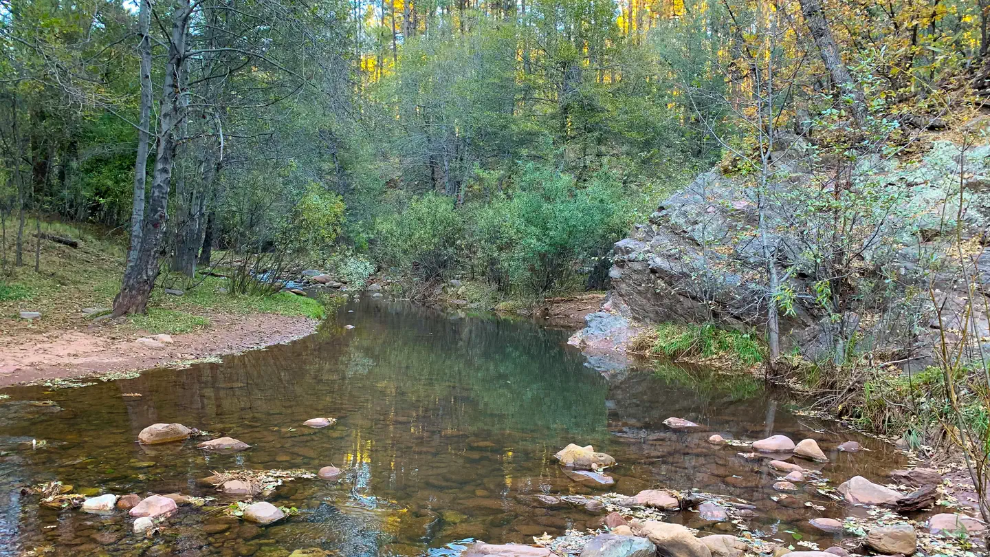 Lower Tonto Creek Campground