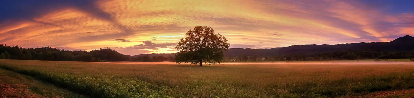 Cades Cove Campground