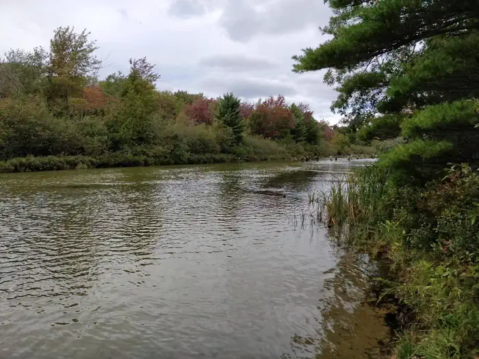 Platte River Campground — Group salmon fishing in the Platte River