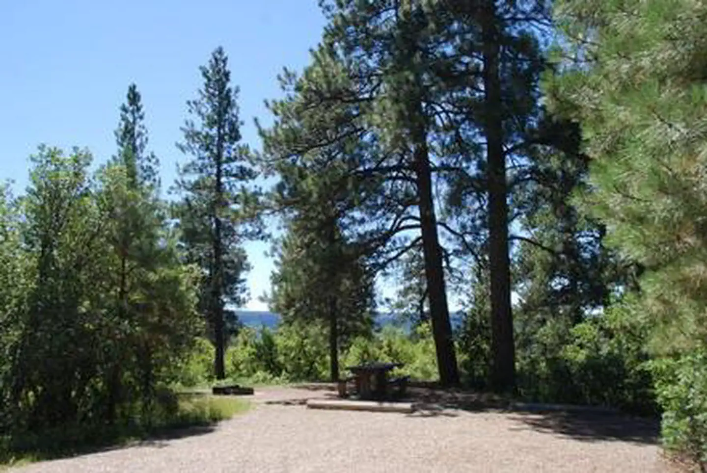 Target Tree Campground — TARGET TREE CAMPGROUND
