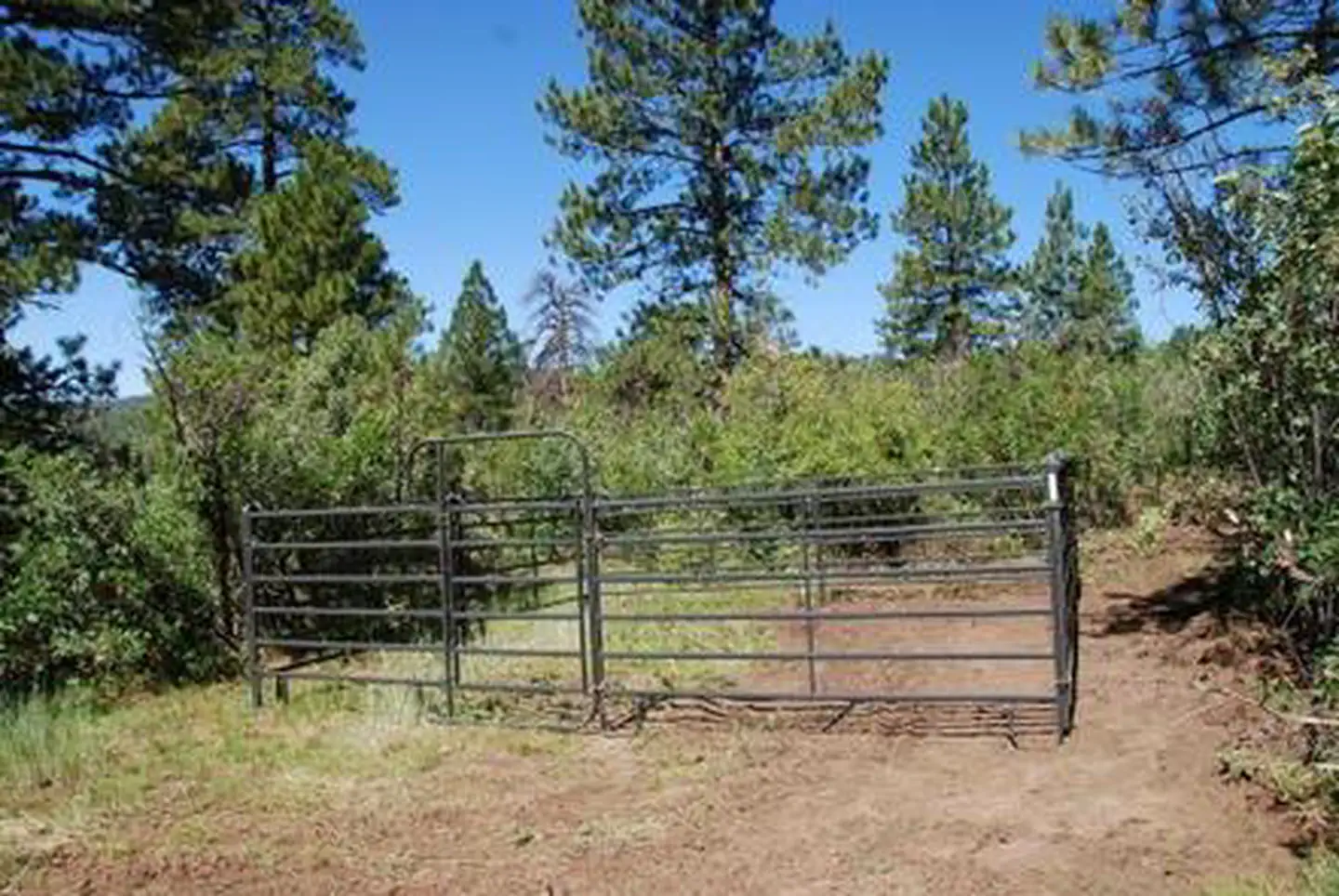 Target Tree Campground — TARGET TREE CAMPGROUND