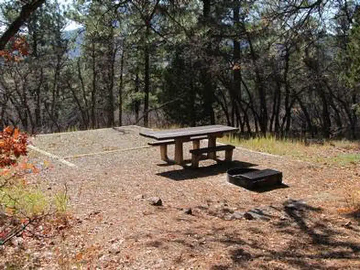 Target Tree Campground — TARGET TREE CAMPGROUND