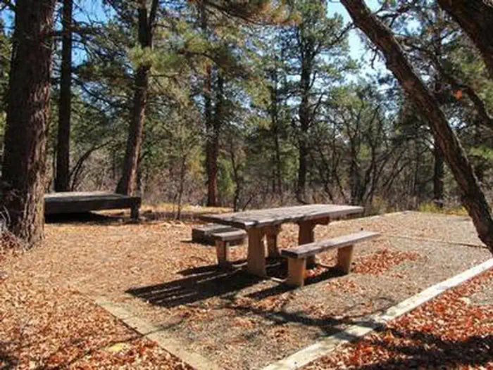 Target Tree Campground — TARGET TREE CAMPGROUND