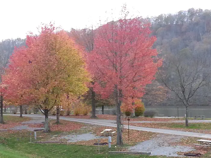 Bulltown Camp — Bulltown Campground in the fall