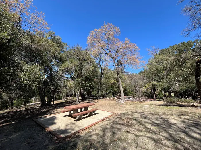 Crestline Group Campground β Picnic table on slope.