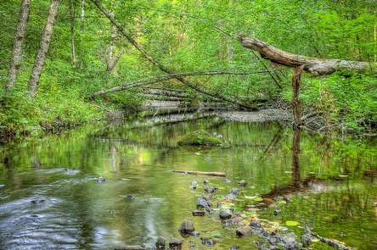 Oklahoma Campground — Oklahoma campground