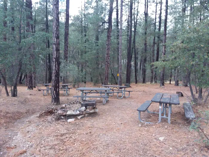 Turney Gulch Group β Turney Gulch Group Campsite with multiple picnic tables and a fire pit