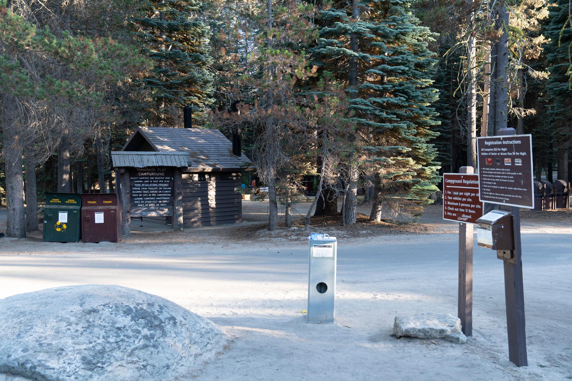 Tamarack Flat Campground — Tamarack Flat Campground Fee Area