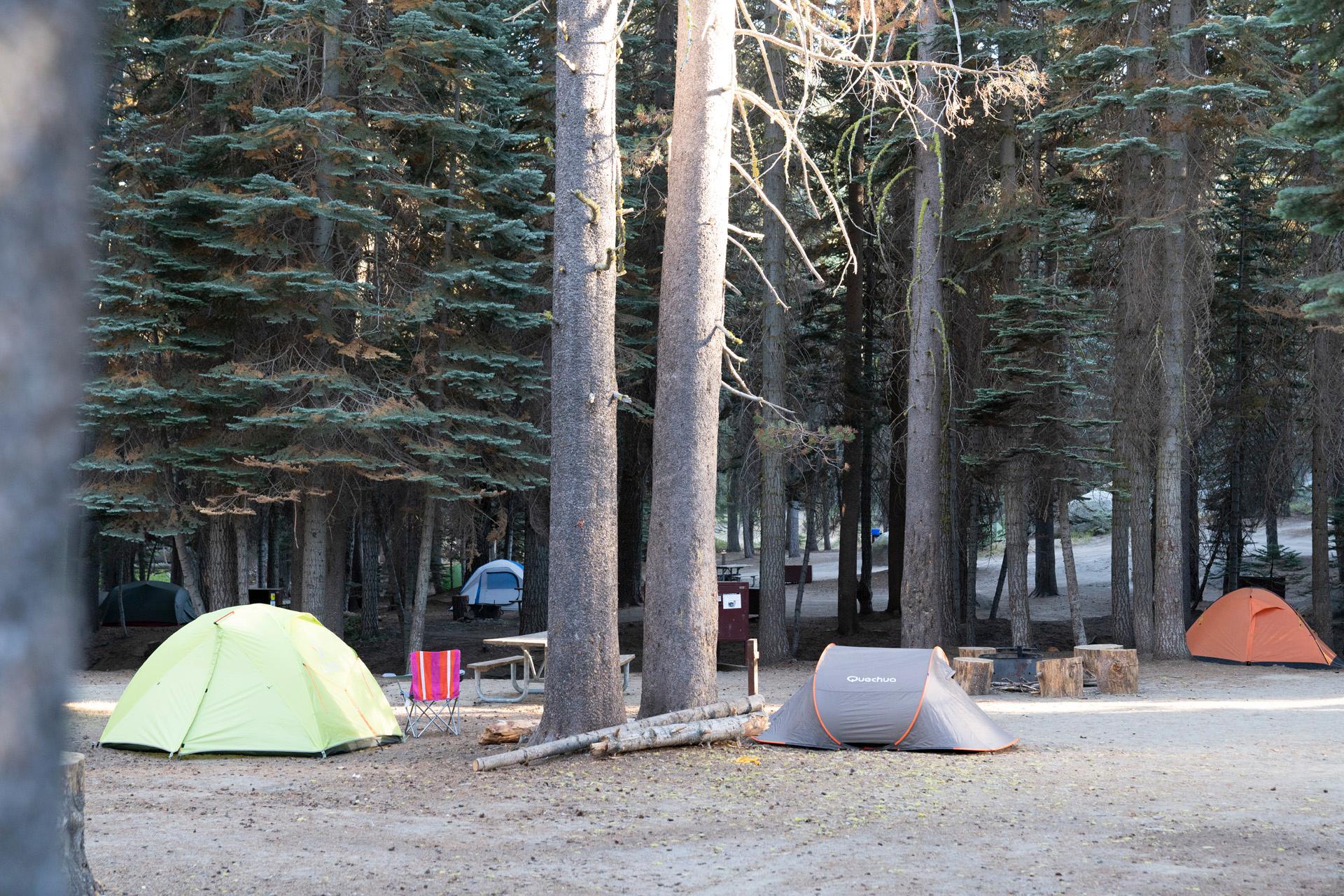 Tamarack Flat Campground — Tamarack Flat Campsites
