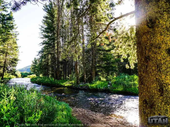 Sulphur Campground — Sulphur Campground