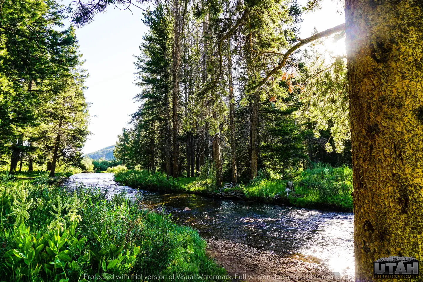 Sulphur Campground — Sulphur Campground 2