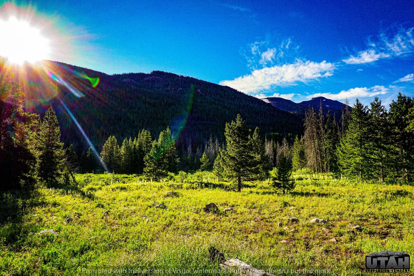 Sulphur Campground — Sulphur Campground