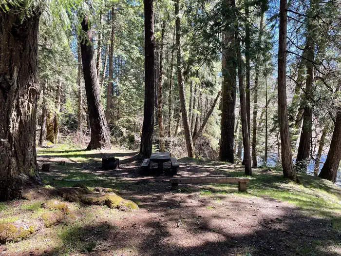 Campers Flat Campground — A campsite surrounded by large trees. The site has a wooden picnic table and metal fire ring. A river can be seen at the edge of the site.