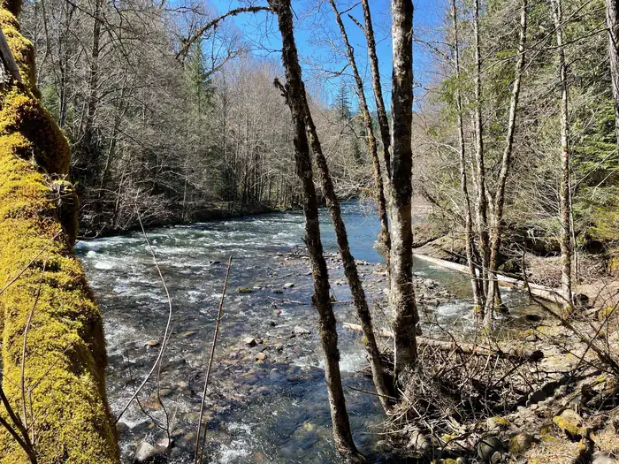 Campers Flat Campground — A wide and shallow river with a rocky bottom. Both banks have small overhanging trees.