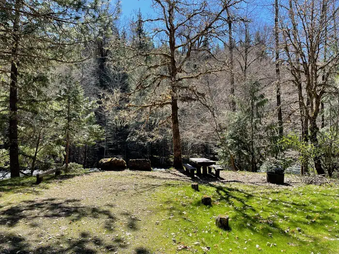 Campers Flat Campground — A grassy campsite with a wooden picnic table and a metal fire ring. The site is on the bank of a river and has a large tree near the table.