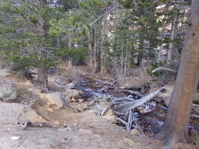 Palisade Group Campground — Palisades Group Campground