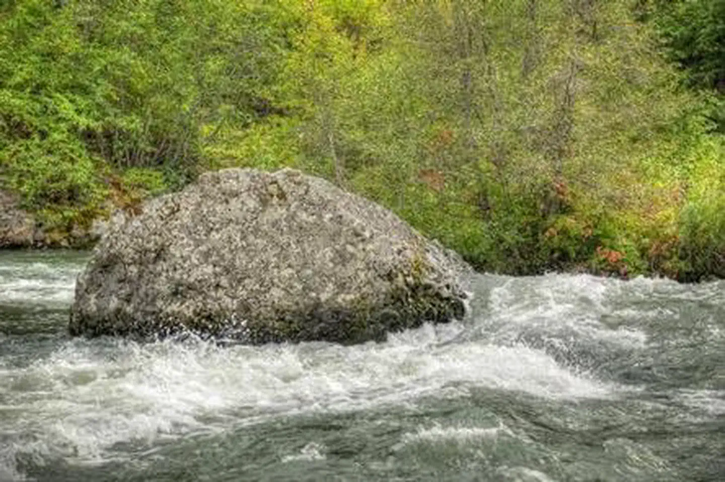 Hause Creek Campground — Hause Creek Campground