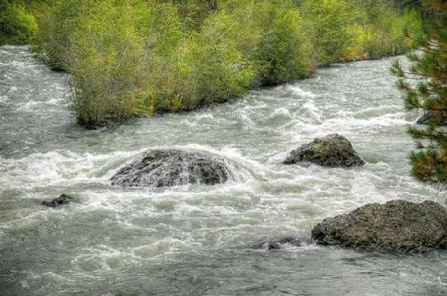 Hause Creek Campground — Hause Creek Campground