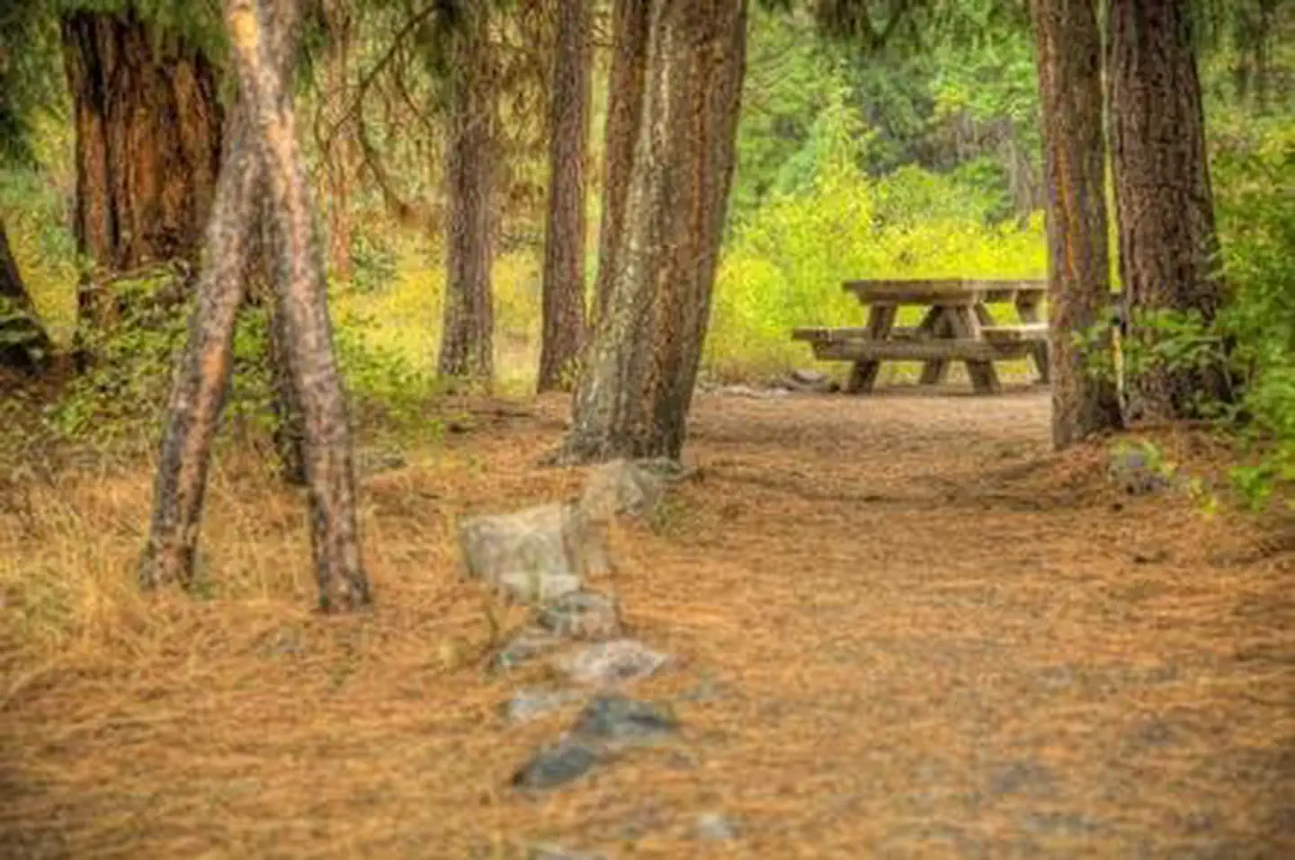 Hause Creek Campground — Hause Creek Campground