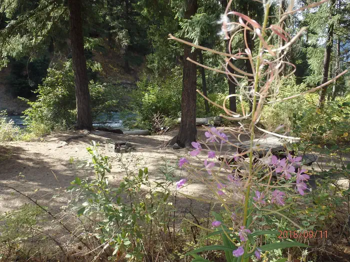 Hause Creek Campground — Hause Creek Campground