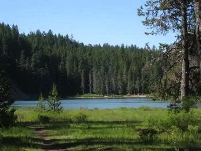 Frog Lake — FROG LAKEq