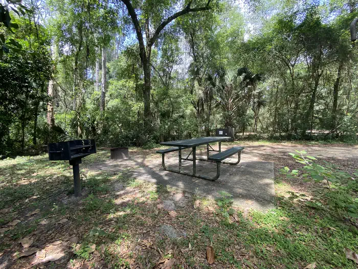 Big Bass Campground — A photo of facility Big Bass Campground (FL) with Picnic Table, Fire Pit, Shade, Lantern Pole