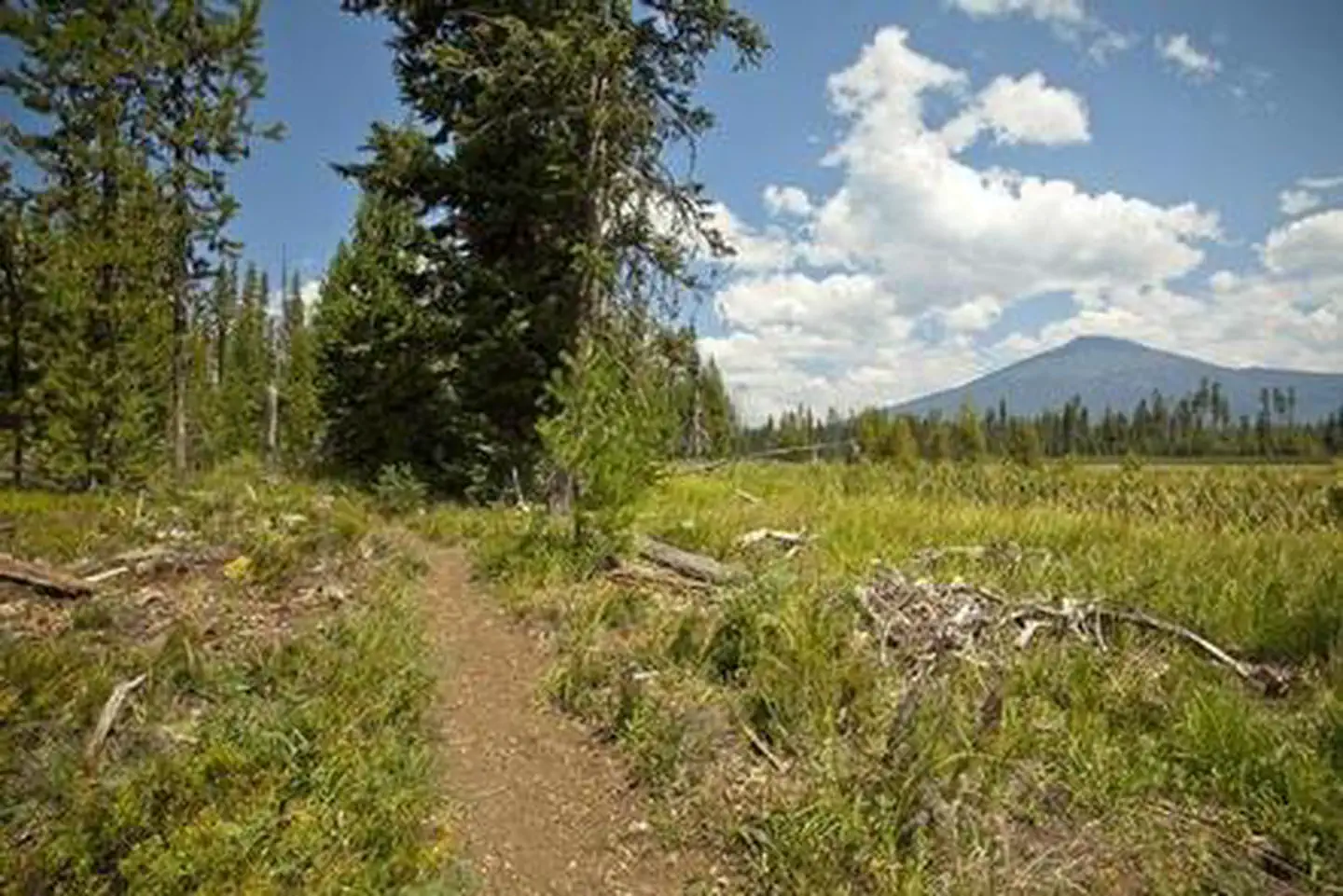 Mallard Marsh Campground — MALLARD MARSH CAMPGROUND
