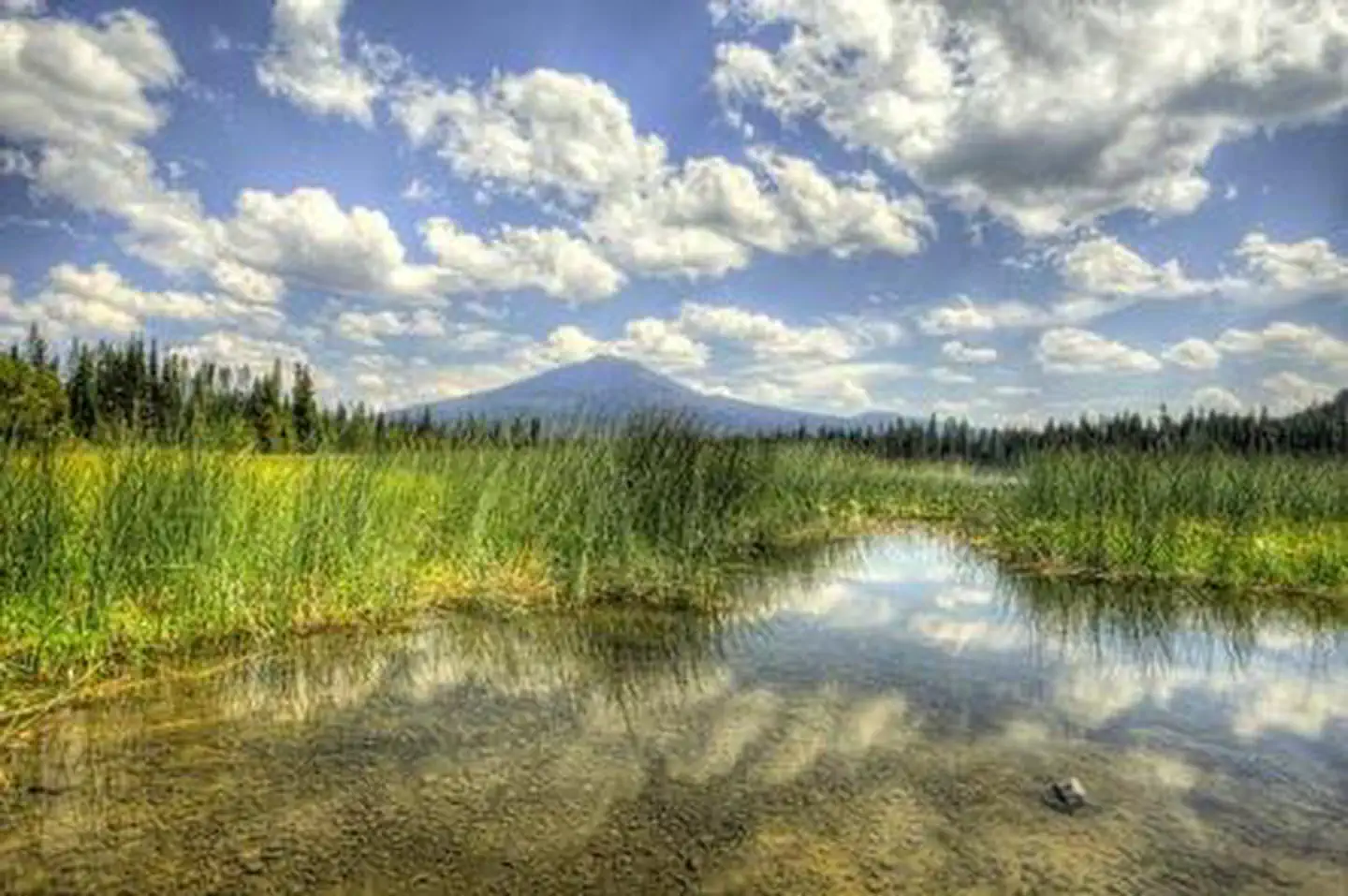 Mallard Marsh Campground — MALLARD MARSH CAMPGROUND