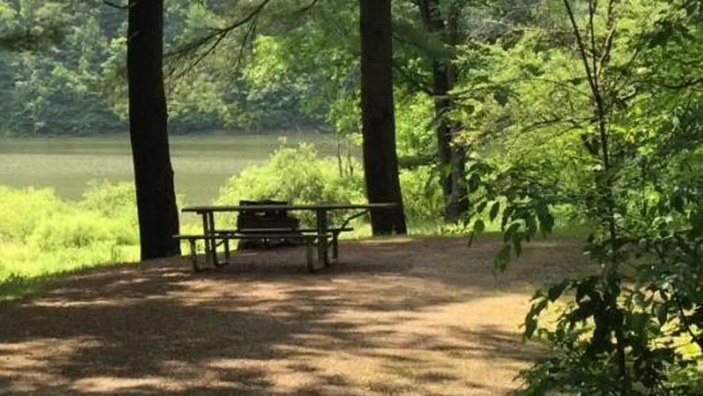 Pine Grove Boat Access Campground — This small rustic campground is located on the east bank of the Allegheny Reservoir just north of Kinzua Wolf Run Marina.
