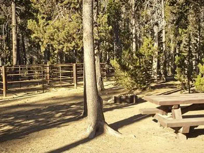 Whitefish Horse Camp — WHITEFISH HORSE CAMP