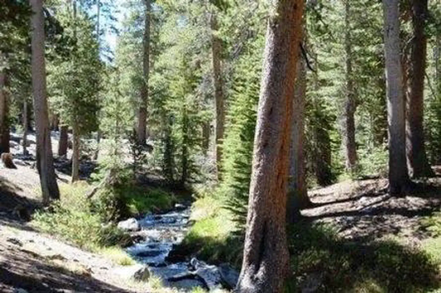 Coldwater Campground - Inyo Nf (ca) — COLDWATER CAMPGROUND