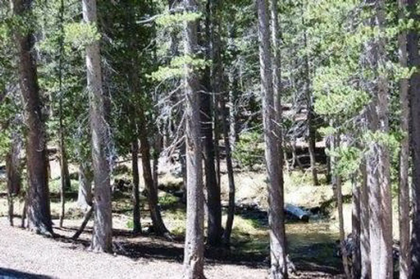 Coldwater Campground - Inyo Nf (ca) — COLDWATER CAMPGROUND
