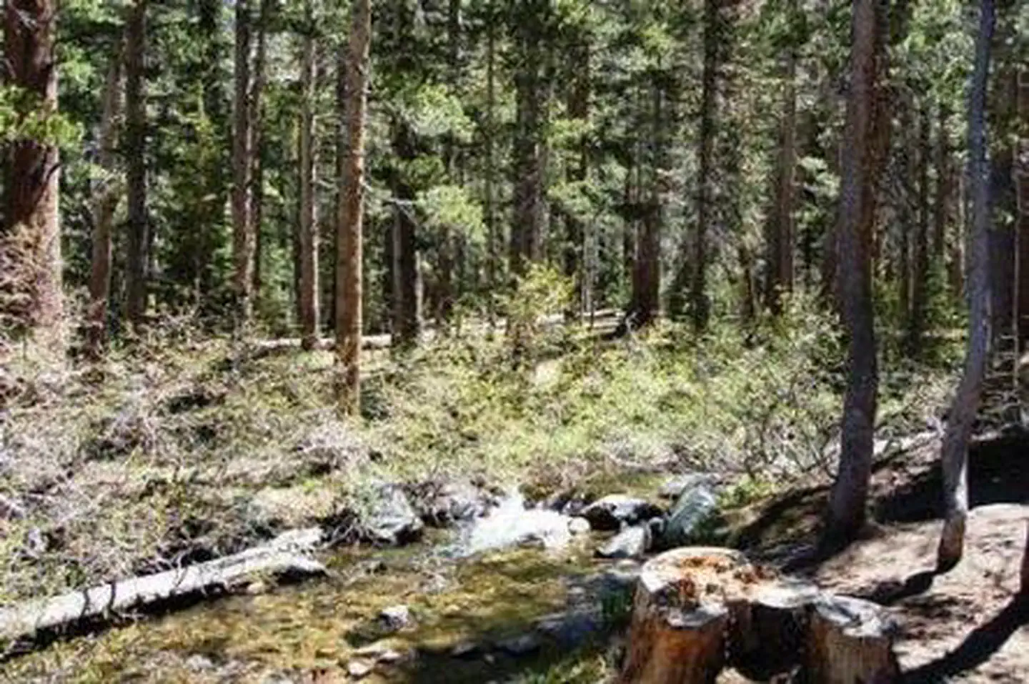 Coldwater Campground - Inyo Nf (ca) — Coldwater Campground