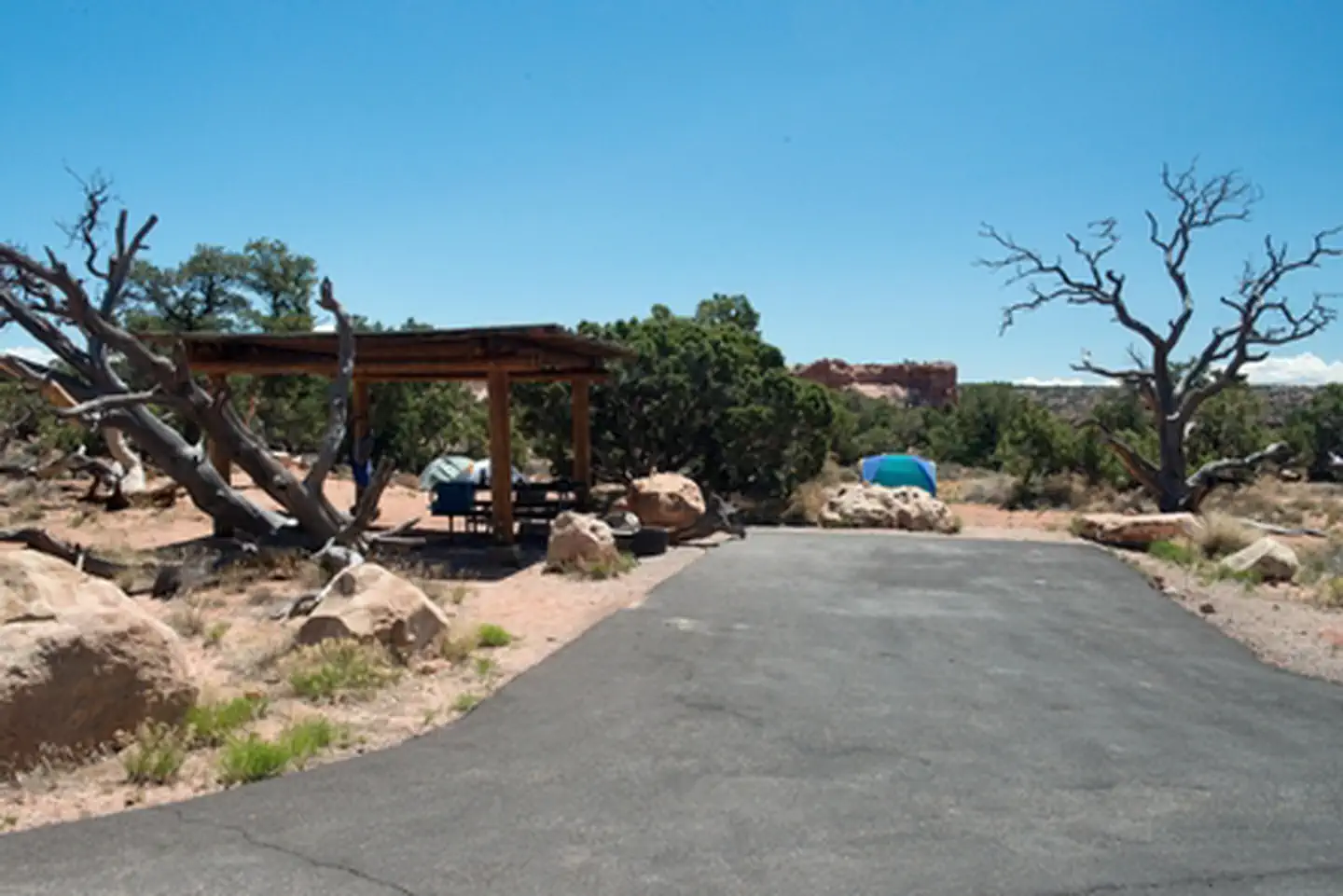 Island In The Sky (Willow Flat) Campground — Campsite