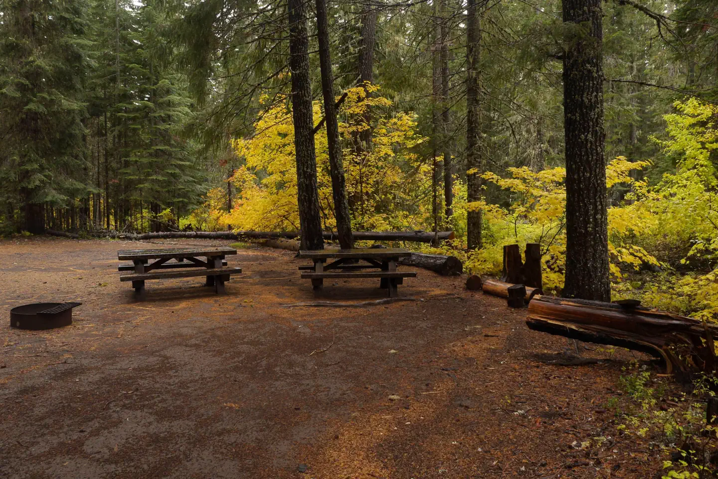 Peterson Prairie Campground — Peterson Prairie Campground in fall