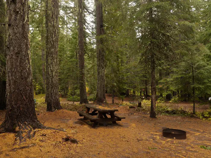 Peterson Prairie Campground — Peterson Prairie Campground