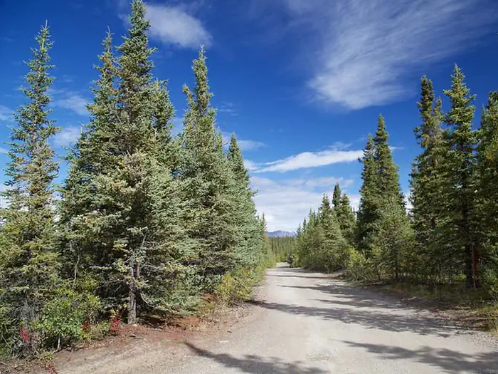 Brushkana Creek Campground β Brushkana Creek Campground Access Road