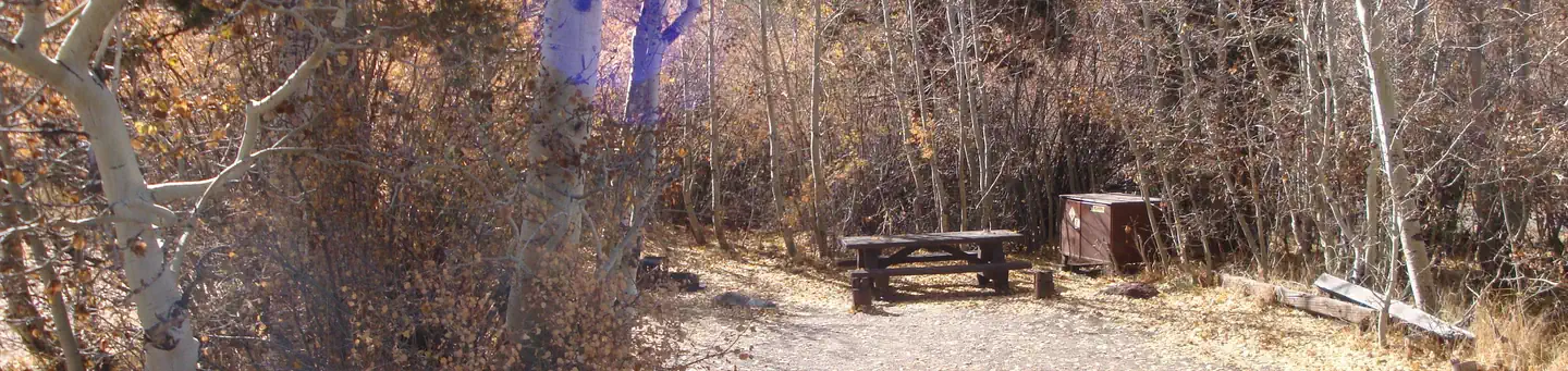 June Lake Rv Park