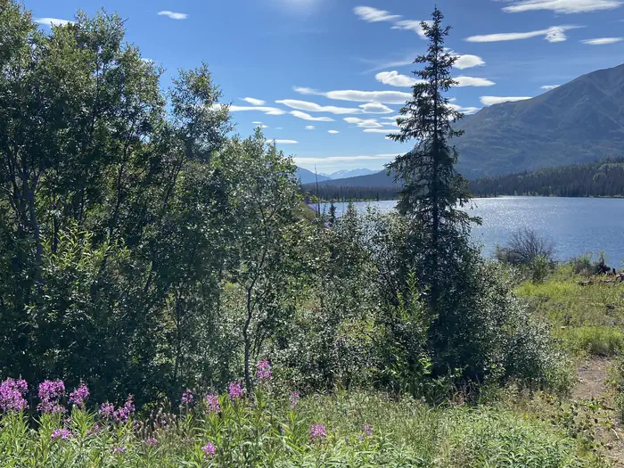 Romig Cabin β ROMIG CABIN View