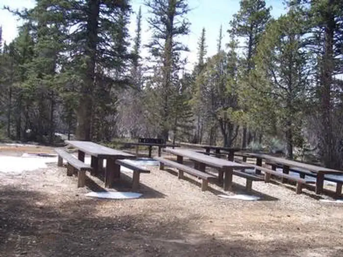 Pine Lake Campground — Yellow Pine Group Campsite