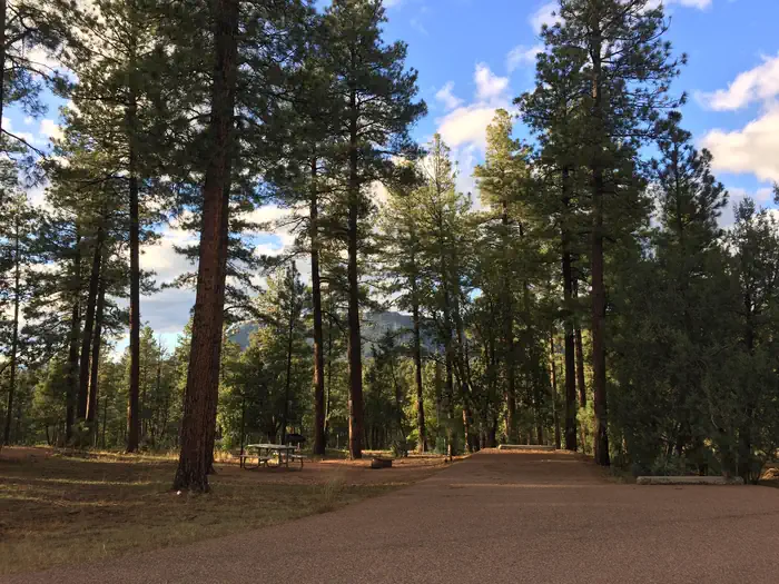 Sharp Creek — Sharp Creek Campground surrounded by the Tonto National Forest