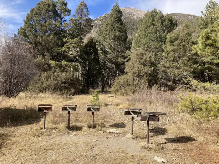 Angel Of Shavano Group — Group of cooking grills with trees and mountain in background